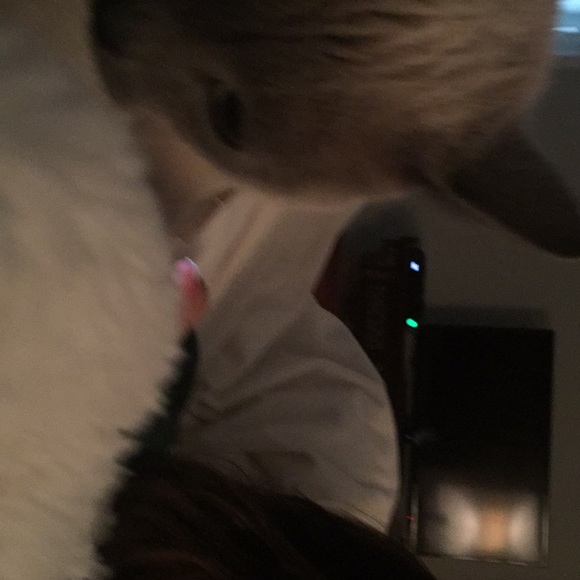 Meet your Posher, Dawn - Picture 1 of 1